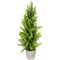 Northlight Upswept Frosted Cedar Artificial Potted Christmas Tree - 17" - Unlit